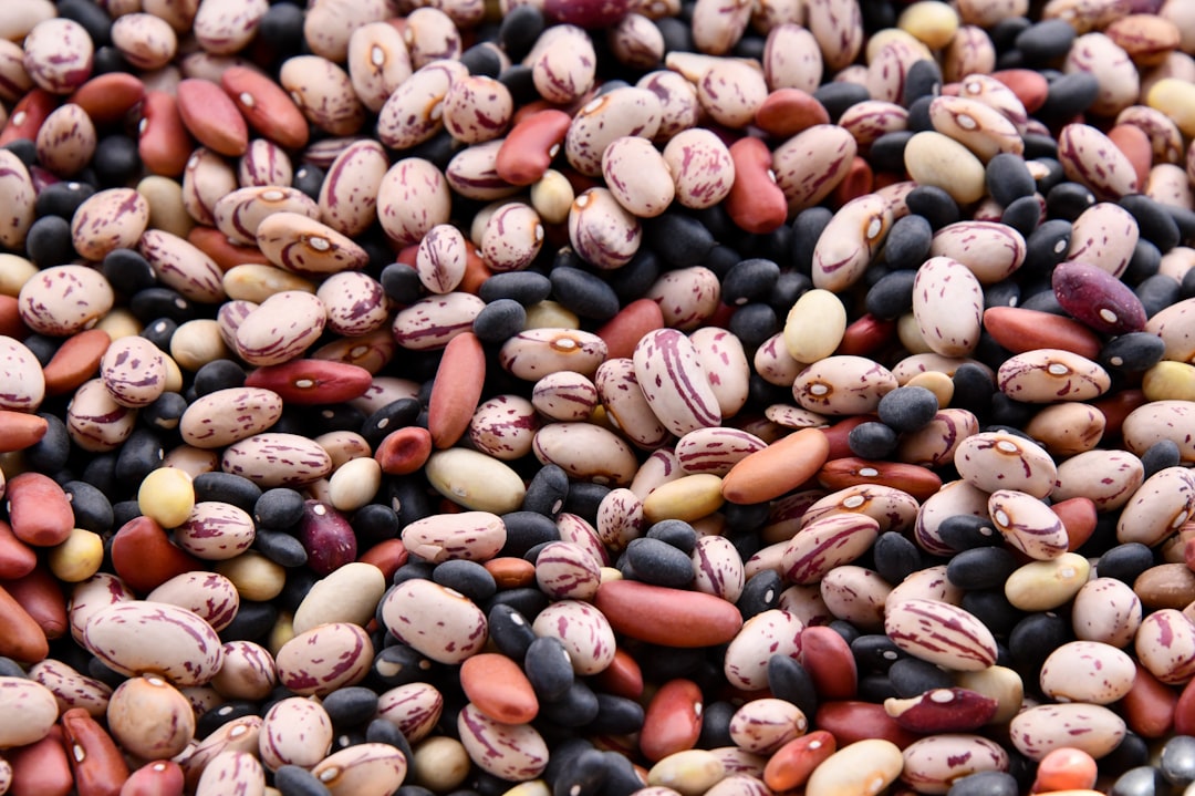 Honey Beans